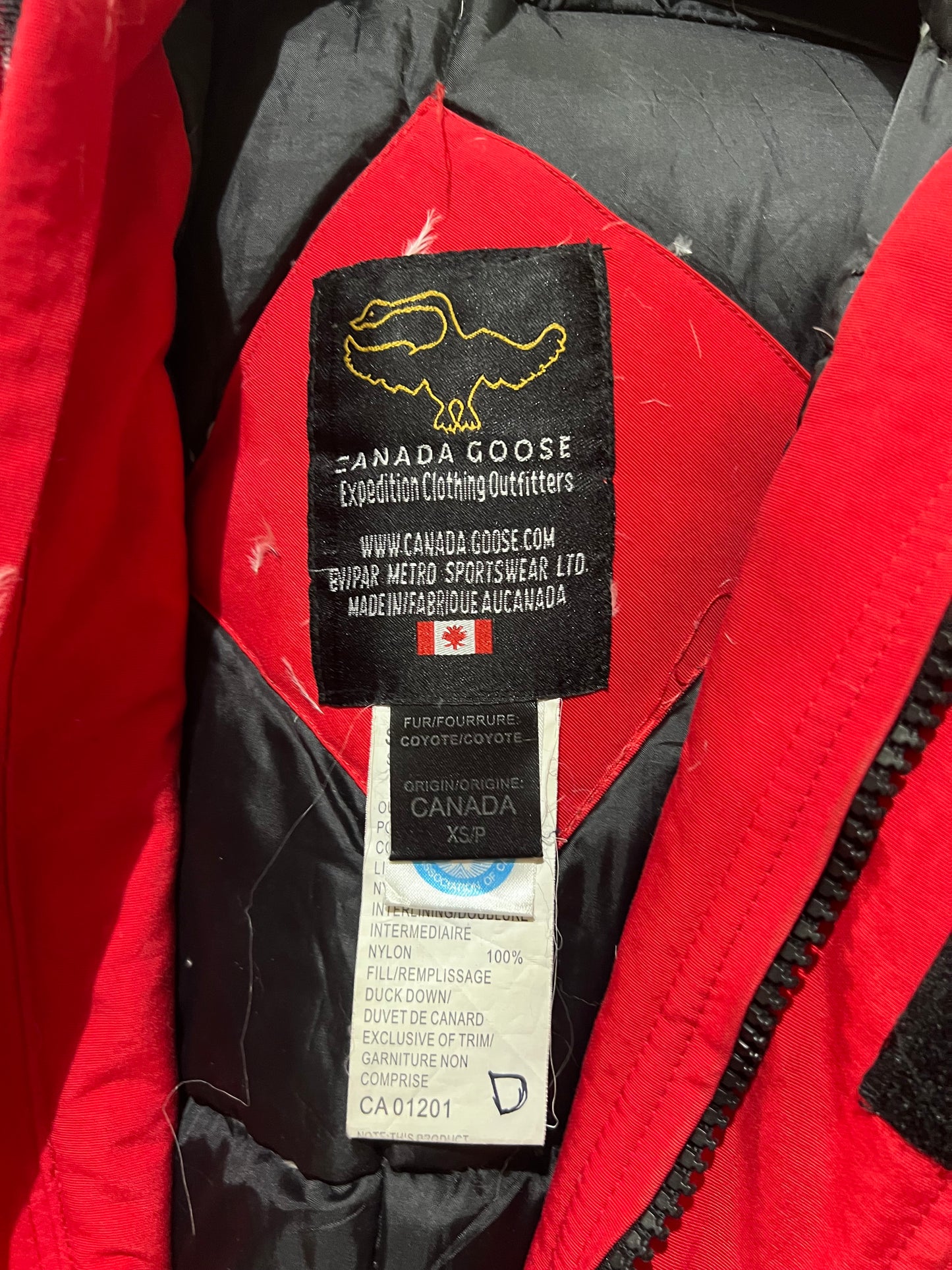 Canada Goose duck down feather