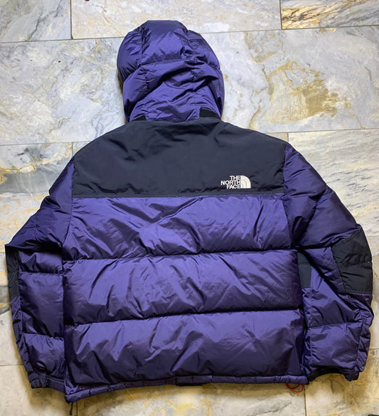 THE NORTH FACE WINDSTOPPER SUMMIT SERIES DUCK DOWN FEATHER PUFFER (LARGE)
