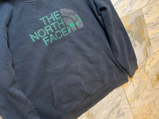 THE NORTH FACE HOODIE