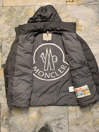 Moncler logo patch on the left sleeve, resembling a Moncler down jacket. [1]