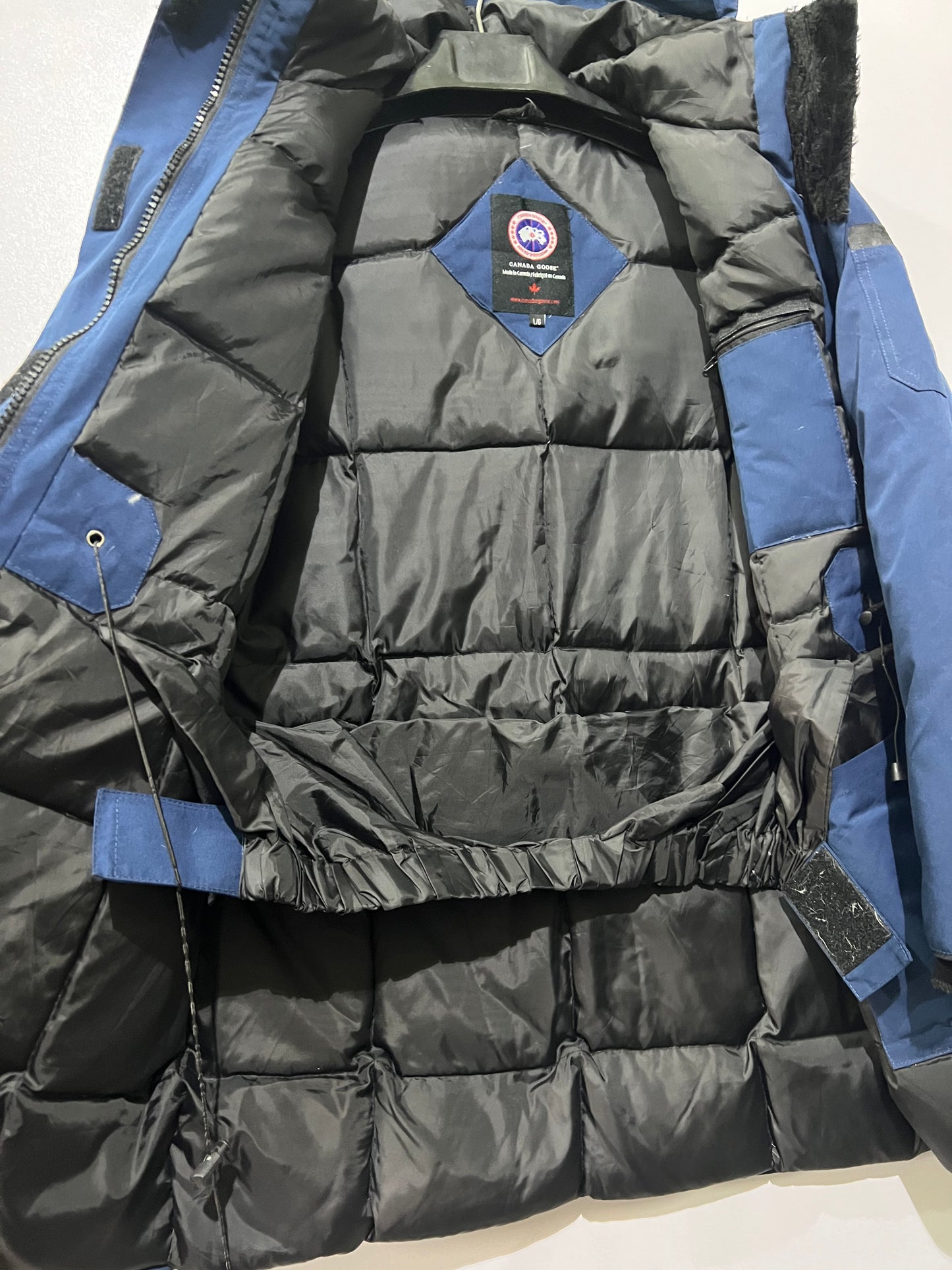 Canada Goose Duck down feather