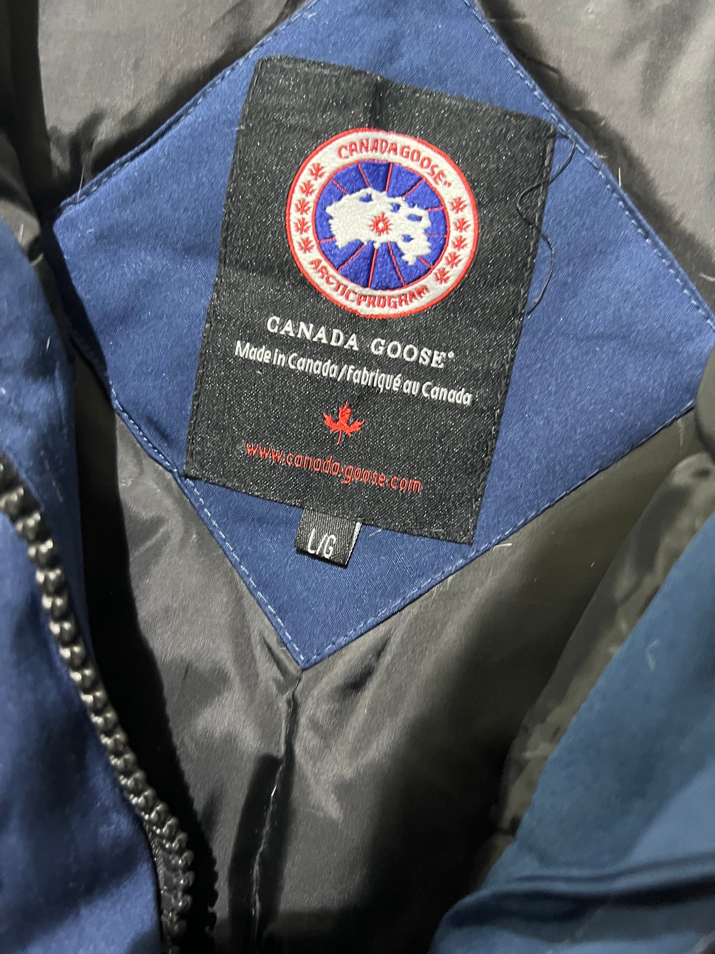 Canada Goose Duck down feather