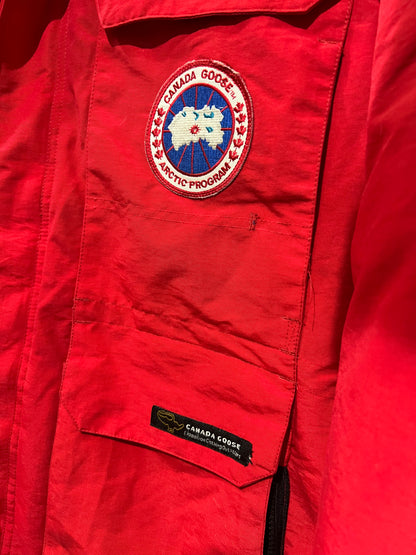 Canada Goose duck down feather