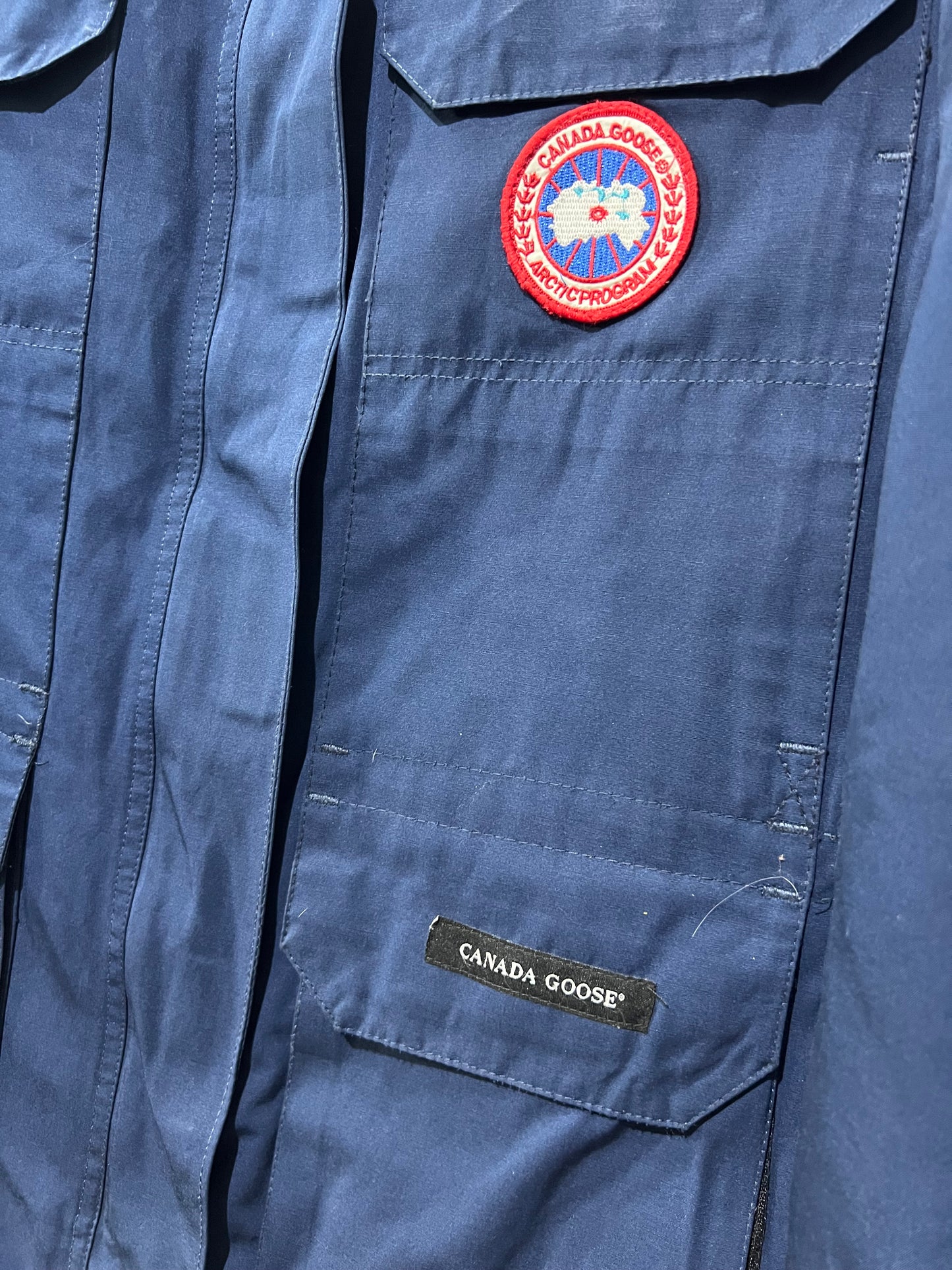 Canada Goose Duck down feather