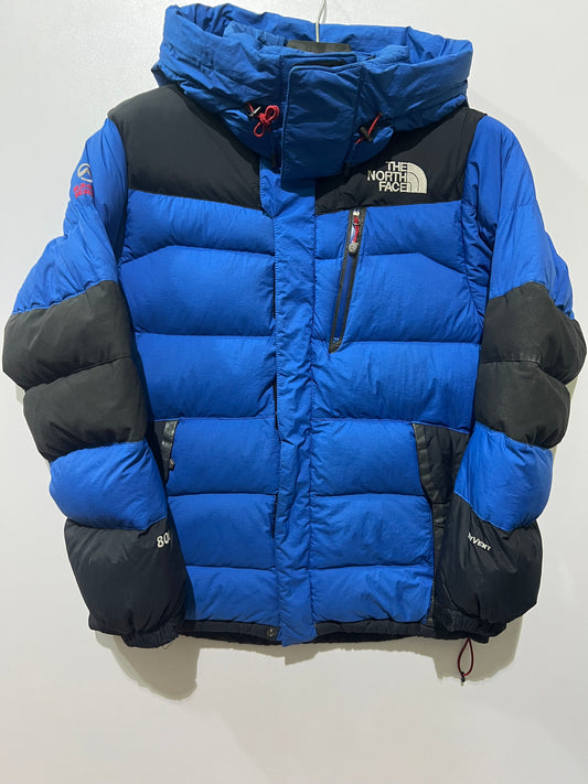 The north face hyvent duck goose down feather packable jacket