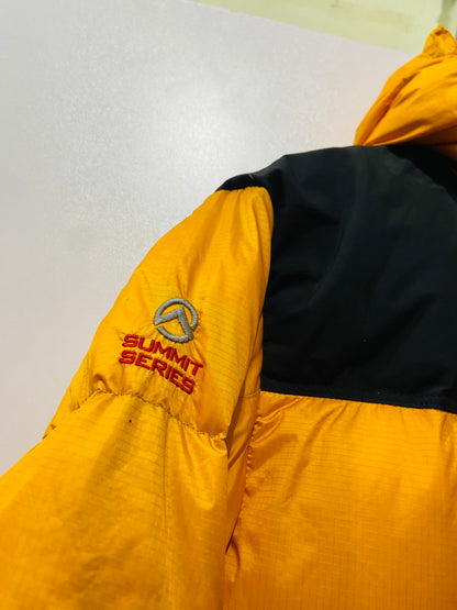 The north face Summit Series windstooper puffer jacket