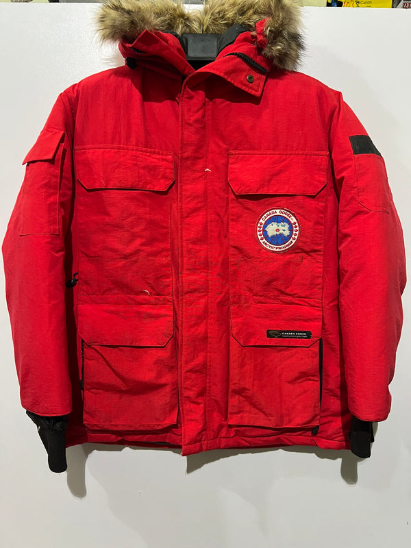 Canada Goose duck down feather
