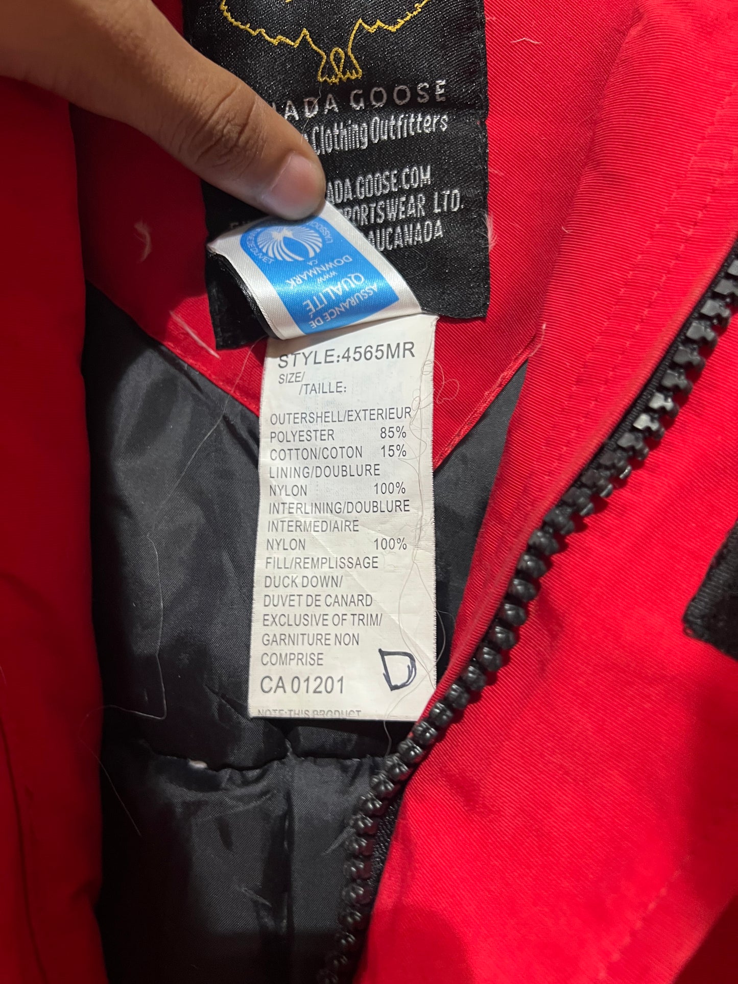 Canada Goose duck down feather