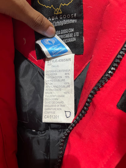 Canada Goose duck down feather