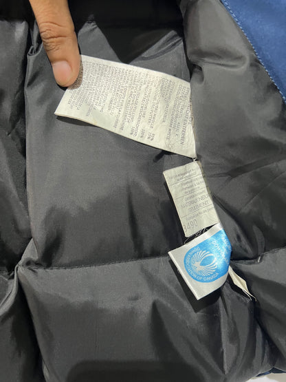 Canada Goose Duck down feather