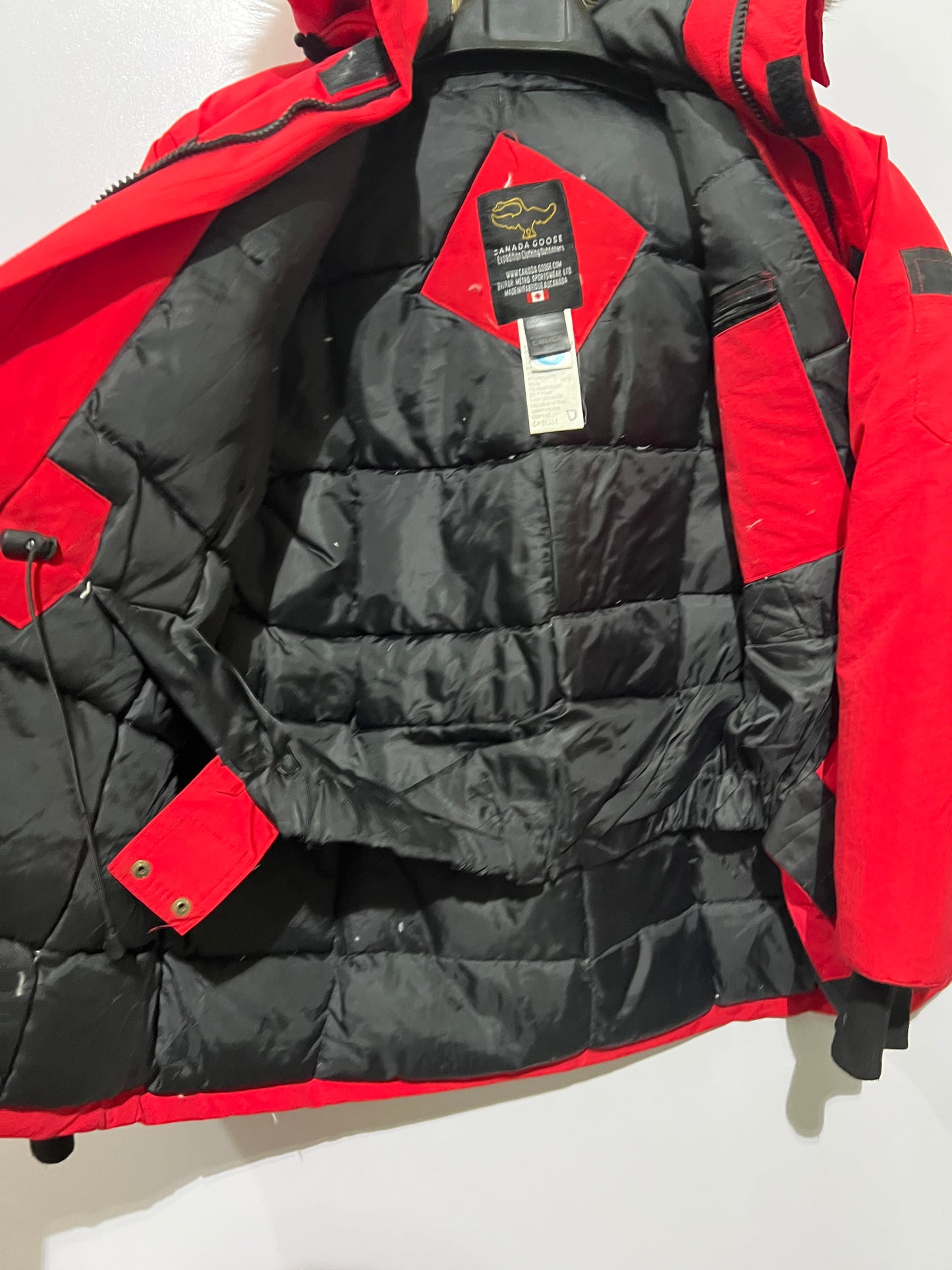 Canada Goose duck down feather