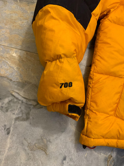 THE NORTH FACE SUMMIT SERIES WINDSTOOPER DUCK DOWN FEATHER PUFFER